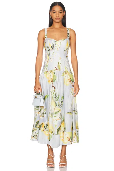 NICHOLAS MAKENNA DROP WAIST CORSET MIDI DRESS