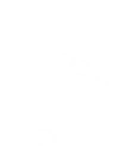 NIKE AIR FORCE 1 SNEAKERS