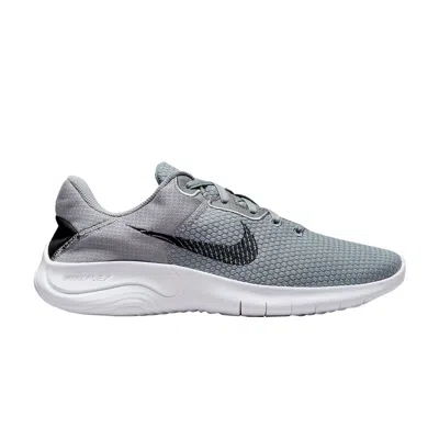 NIKE FLEX EXPERIENCE RUN 11 NEXT NATURE 'PARTICLE GREY'