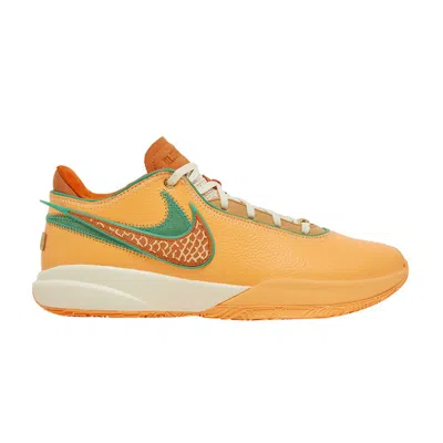 NIKE FLORIDA A&M UNIVERSITY X A.P.B. X LEBRON 20 'FROM TALLY TO THE WORLD - PEACH'