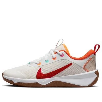 NIKE (GS) Nike Omni Multi-Court 'Sail Multi-Color'
