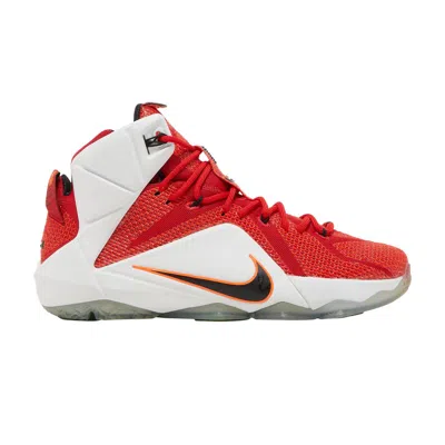 NIKE LEBRON 12 EP 'HEART OF A LION'