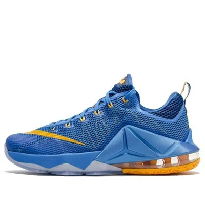 NIKE Nike LeBron 12 Low 'Entourage'