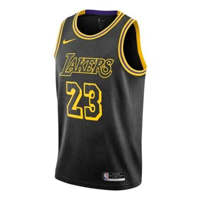 NIKE Nike NBA LeBron James Los Angeles Lakers 2021/22 Jersey #23