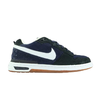 NIKE NIKE PAUL RODRIGUEZ ZOOM AIR LOW