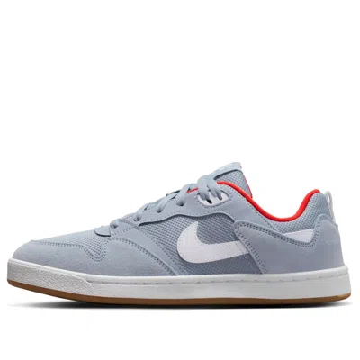 NIKE Nike SB Alleyoop 'Grey White'