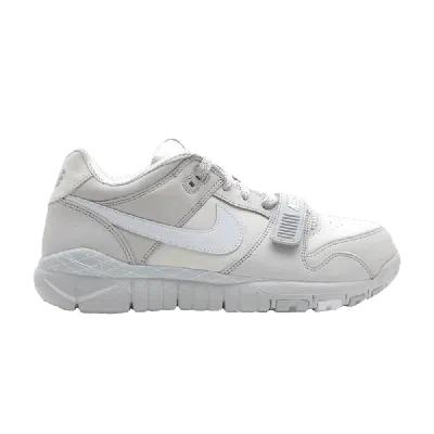 NIKE NIKE TRAINER DUNK LOW