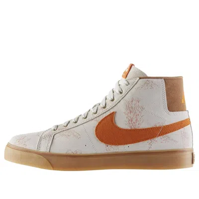 NIKE Nike Zoom Blazer SB Skateboard Canvas Tan