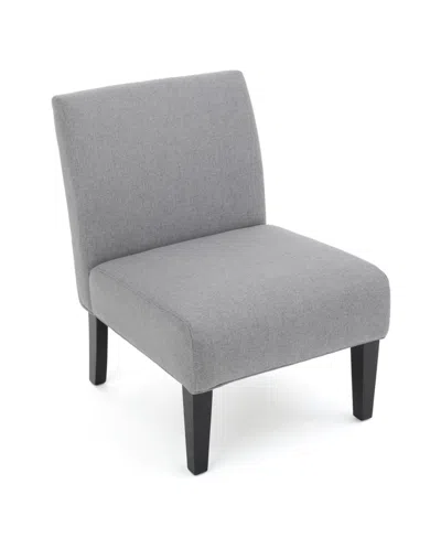 NOBLE HOUSE KASSI CONTEMPORARY FABRIC SLIPPER ACCENT CHAIR