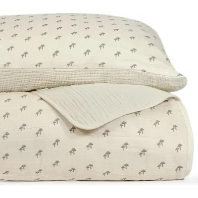 OILO OILO ORGANIC COTTON MUSLIN QUILT & SHAM SET