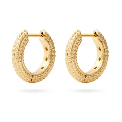 ONEWILDONE WOMEN'S STAY GOLDEN EARRINGS