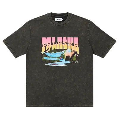 PALACE PALACE PALASKA DYE T-SHIRT 'BLACK'