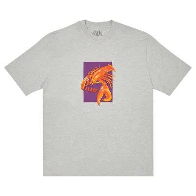 PALACE PALACE THERMADORE T-SHIRT 'GREY MARL'