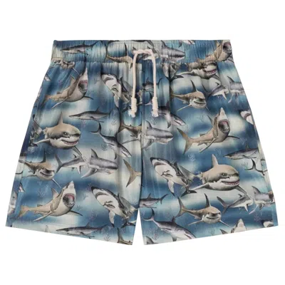 PALM ANGELS PALM ANGELS SHARKS SWIMSHORTS 'BLUE'