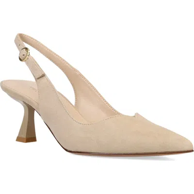 PELLE MODA PELLE MODA JANAH SLINGBACK POINTED TOE PUMP