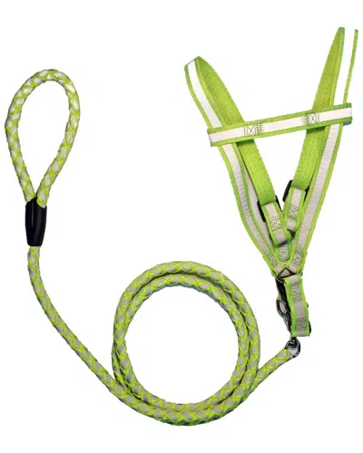 PET LIFE PET LIFE REFLECTIVE STITCHED EASY TENSION ADJUSTAB