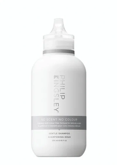 PHILIP KINGSLEY PHILIP KINGSLEY NO SCENT NO COLOUR GENTLE SHAMPOO 250ML