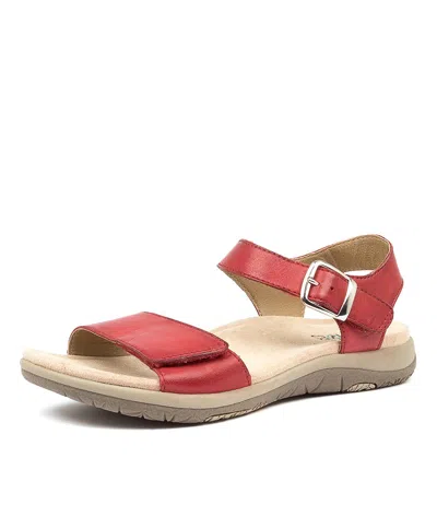 PLANET TECHNOLOGY PLANET LORD HONEY LEATHER WOMENS SHOES CASUAL SANDALS SANDALS FLAT