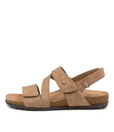 PLANET TECHNOLOGY PLANET ODETTE MUSHROOM WOMENS SHOES CASUAL SANDALS SANDALS FLAT