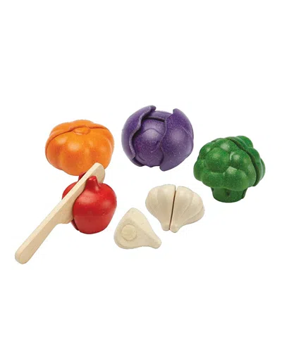 PLANTOYS PLANTOYS UNISEX COLORS VEGGIE SET YEARS+ - AGES 0-24 MONTHS