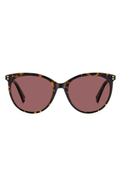 POLAROID POLAROID 55MM POLARIZED CAT EYE SUNGLASSES