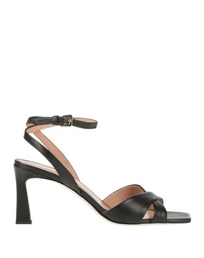 POLLINI POLLINI WOMAN SANDALS BLACK SIZE 8 LEATHER