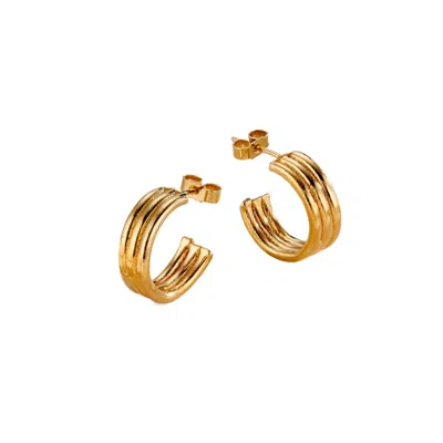 POSH TOTTY DESIGNS WOMEN'S GOLD COLUMN HOOP EARRINGS