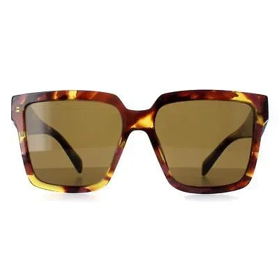 PRADA PRADA SUNGLASSES PR24ZS 18N01T TORTOISE COGNAC BEGONIA DARK BROWN