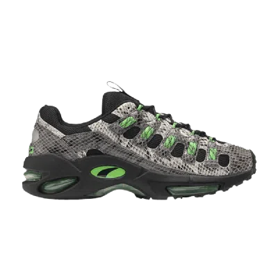 PUMA PUMA CELL ENDURA 'ANIMAL KINGDOM'