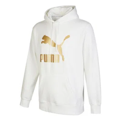 PUMA PUMA Classics Metallic Regular Fit Hoodie 'White'