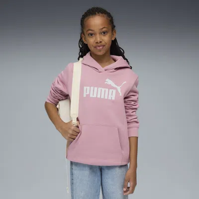 PUMA ESSENTIALS NO. 1 LOGO BIG KIDS' HOODIE