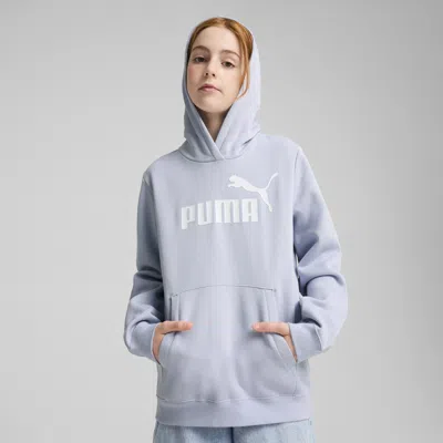 PUMA ESSENTIALS NO. 1 LOGO BIG KIDS' HOODIE