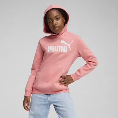 PUMA ESSENTIALS NO. 1 LOGO BIG KIDS' HOODIE