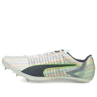 PUMA PUMA Evo Speed Tokyo Brush Sp