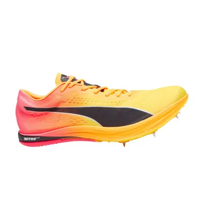 PUMA EVOSPEED LONG DISTANCE 'SUN STREAM SUNSET GLOW'