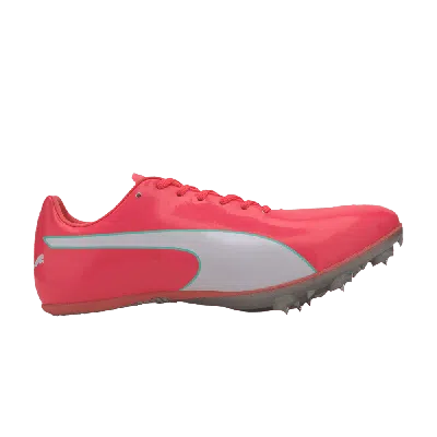 PUMA EVOSPEED SPRINT 10 'IGNITE PINK'