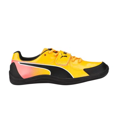 PUMA EVOSPEED THROW 10 'SUN STREAM SUNSET GLOW'