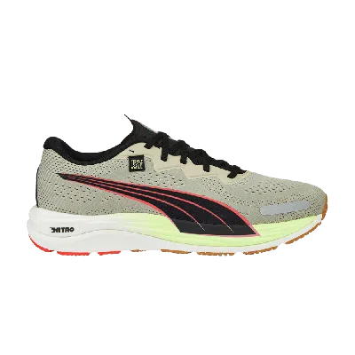 PUMA PUMA FIRST MILE X VELOCITY NITRO 2 'PEBBLE GREY FIRELIGHT'