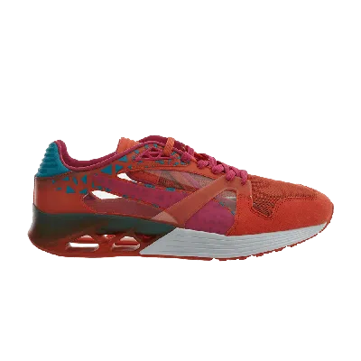 PUMA FUTURE XT RUNNER 'TIGERLILY'