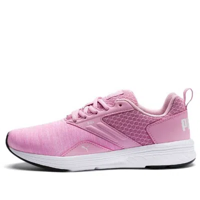PUMA (GS) PUMA Nrgy Comet Low Running Shoes Pink