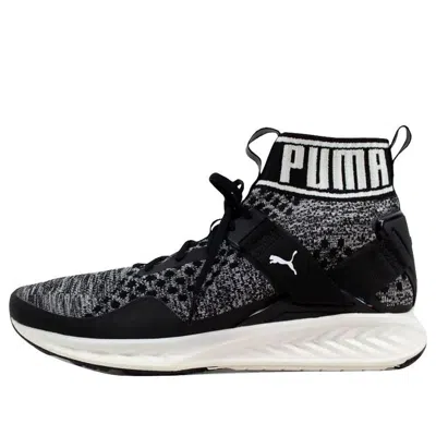PUMA PUMA Ignite evoKnit 'Black'