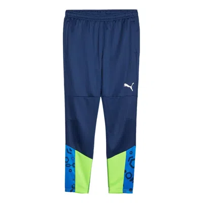 PUMA PUMA individualCUP Football Training Pants 'Blue Green'