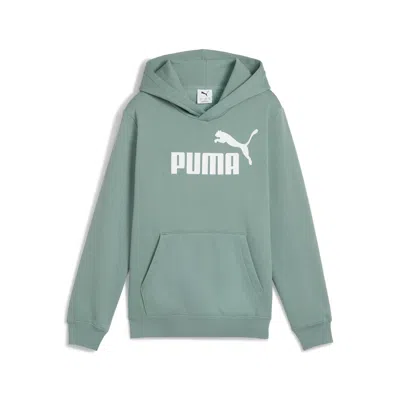 PUMA PUMA MEN'S ESSENTIALS NO. 1 LOGO FLEECE HOODIE