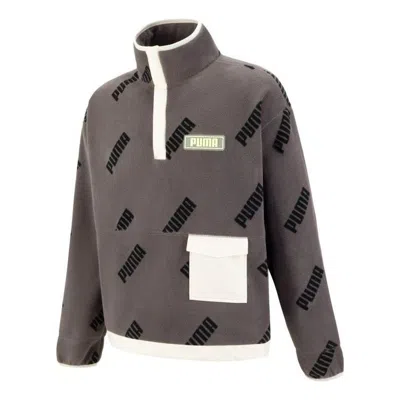 PUMA PUMA Moduler Half-Zip Sweater 'Grey'