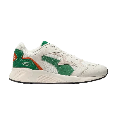 PUMA PREVAIL FG 'WARM WHITE VINE'