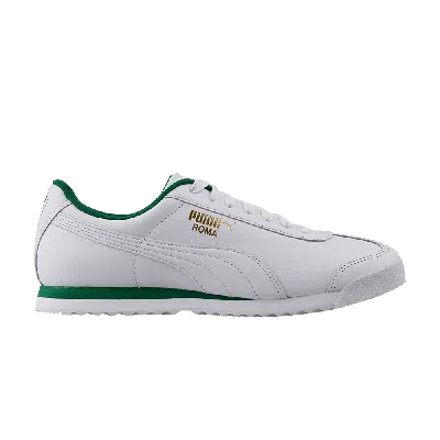 PUMA PUMA ROMA CLASSIC 'WHITE AMAZON GREEN'