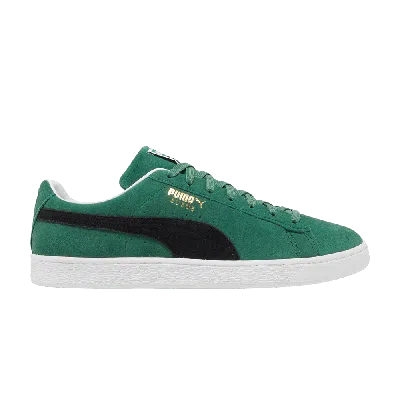 PUMA SUEDE CLASSIC 21 'VINE'