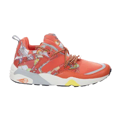PUMA PUMA SWASH O X BLAZE OF GLORY 'NASTURTIUM'