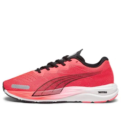 PUMA PUMA Velocity Nitro 2 'Fire Orchid Black'