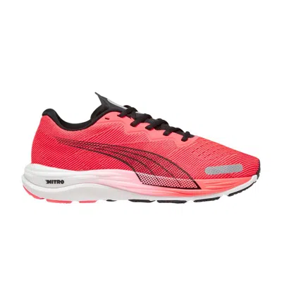 PUMA VELOCITY NITRO 2 'FIRE ORCHID BLACK'